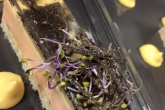 le foie gras de canard aux truffes