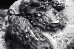 La sauce aux Morilles